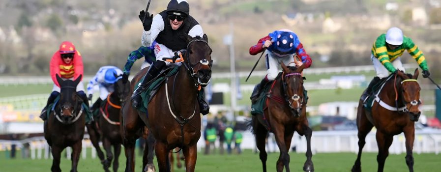 Bookie Expects Over £1 Billion Wagered at Cheltenham Festival